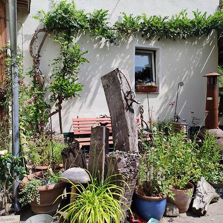 Gartenzimmer Mit Strassenbahn Zu Dom Und Messe Köln Ngoại thất bức ảnh